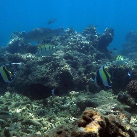 Sand Dollar House, Hiriketiya Dikwella Bagian luar foto
