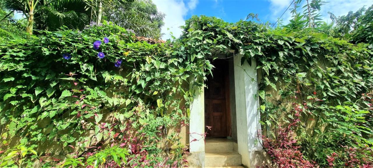 Sand Dollar House, Hiriketiya Dikwella Bagian luar foto